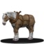 Draft Horse